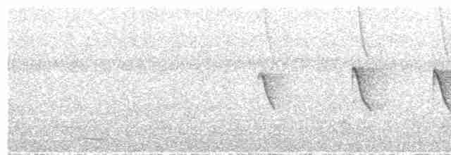 Brown-throated Sunbird - ML612522585