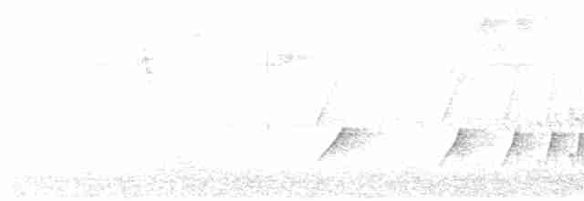 Koyu Başlı Tiranulet - ML612527301