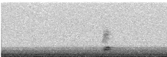 Black-crowned Night Heron - ML612528494