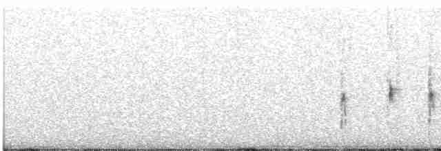 Болотный крапивник - ML612528755
