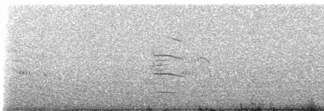 Royal Tern - ML612529144