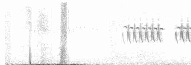 Kara Gözlü Junko (hyemalis/carolinensis) - ML612529446