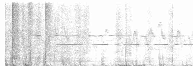 Черногорлая хвойница - ML612529510