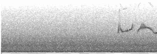 Weißspiegel-Dunkeltyrann - ML612530184