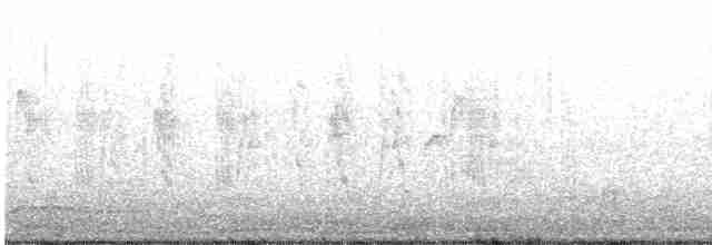 Патагонский мухолов - ML612532535