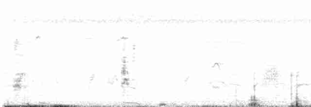 Archibebe Oscuro - ML612534684
