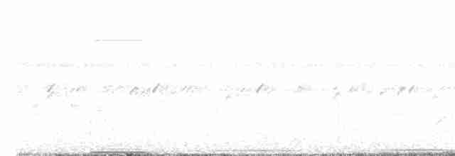 holub bělohrdlý - ML612534995