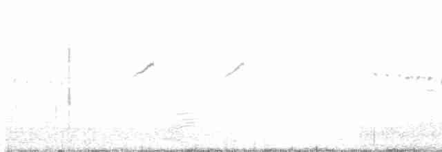 Common Babbler - ML612534999