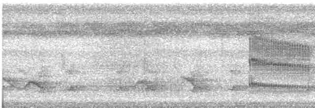 Eufonia Ventrinaranja - ML612535169
