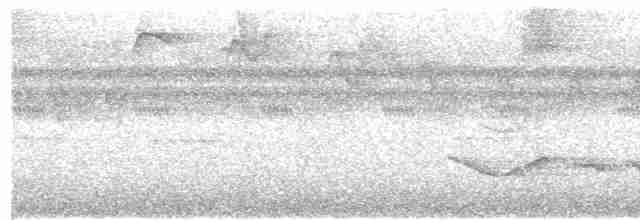 Зернолуск білогорлий - ML612535233