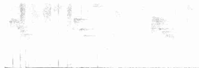 Андский крапивник - ML612535626