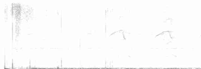 Band-winged Nightjar - ML612535995