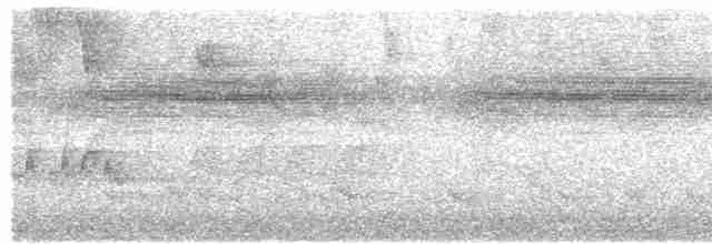 Koyu Başlı Tiranulet - ML612536373