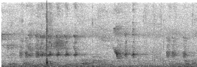 Plush-crested Jay - ML612539340