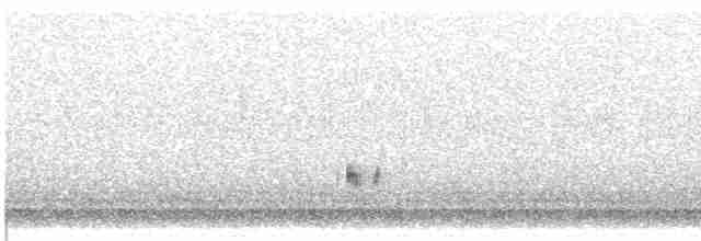 Western Grebe - ML612539706