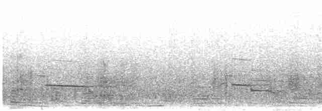 orlík krátkoprstý - ML612546522