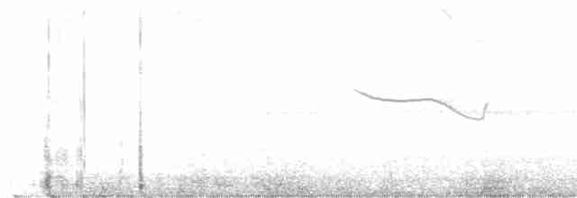 Band-winged Nightjar - ML612547523