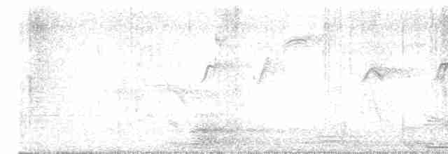 rorýs domovní (ssp. singalensis) - ML612550861