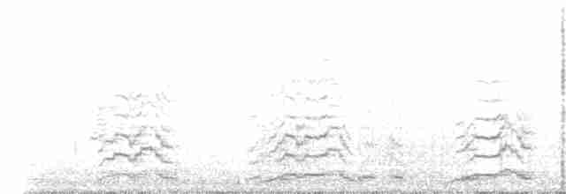 Cygne siffleur (columbianus) - ML612552427