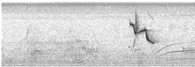 Kara Karınlı Tohumcul - ML612552553