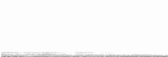 White-collared Manakin - ML612553623