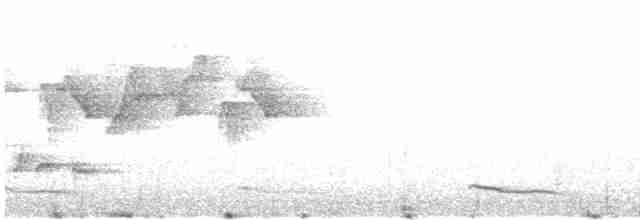 Gray-hooded Warbler - ML612554657