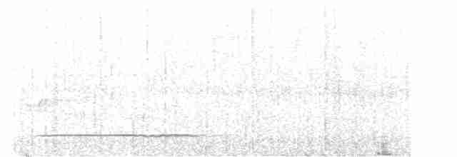 Тинаму-отшельник - ML612558763