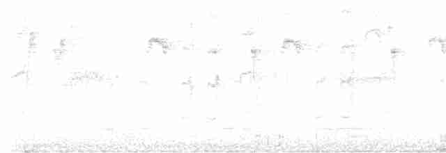 Тёмногорлый колибри-отшельник - ML612558850