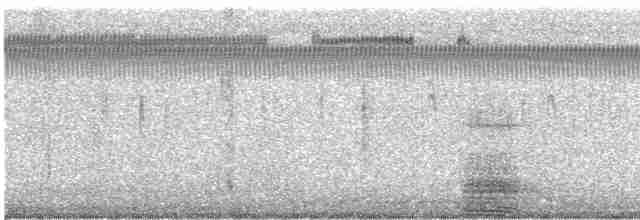 Ібіс білий - ML612561278