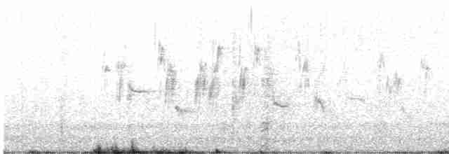 Щеврик антарктичний - ML612562339