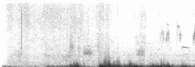 Pipit antarctique - ML612562539