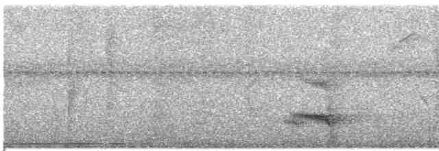 Channel-billed Toucan - ML612564246