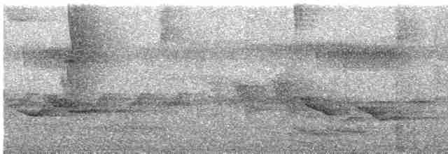 Риджвея сивоголова - ML612564378