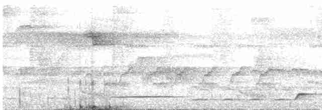 Риджвея сивоголова - ML612564403