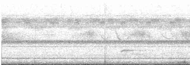 Small-billed Tinamou - ML612567090