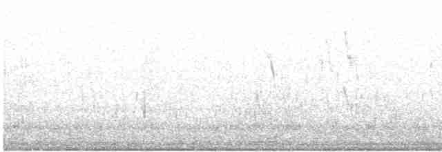 Neotropic Cormorant - ML612567766