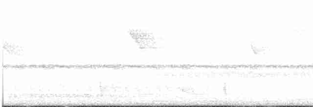 Красноногий скрытохвост - ML612573124