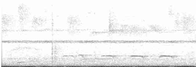 Trogon rosalba - ML612573667