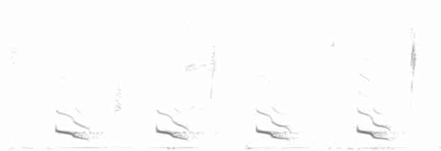 Mountain Trogon - ML612575312