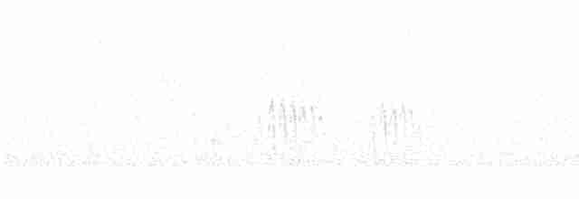 Strichelrückencanastero (Rötelflügelcanastero) - ML612577824