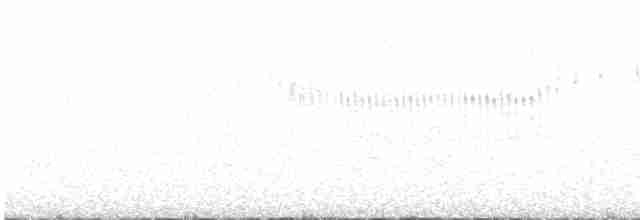 Светлокрылая трясохвостка - ML612577831