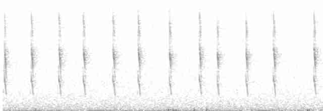 Damalı Sepetören [sclateri grubu] - ML612577897