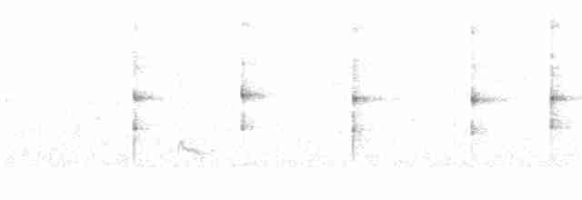 Çizgili Alınlı Daldokuyan - ML612577953