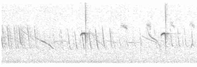 Исполинский колибри - ML612578123