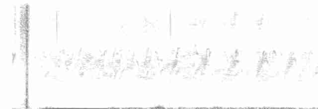 rorýs hnědohrdlý - ML612580402