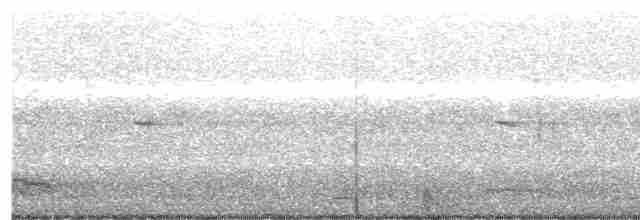 Weißbrauenschnäpper - ML612580403