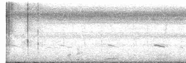 Little Ringed Plover - ML612584701
