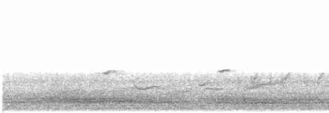 Южный соловей (megarhynchos/africana) - ML612585975