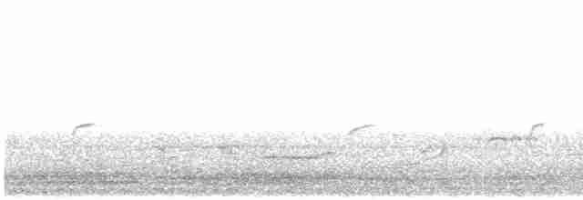 Bülbül (megarhynchos/africana) - ML612586317