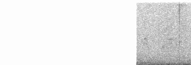 Western Orphean Warbler - ML612586570